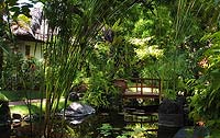 Wonderful shot of garden foliage with wooden bridge and lillies in pond